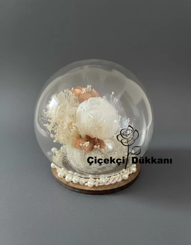 Cam Küre İçinde Şoklanmış Solmayan Beyaz Gül Aranjmanı