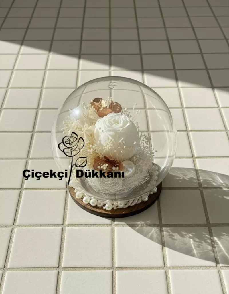 Cam Küre İçinde Şoklanmış Solmayan Beyaz Gül Aranjmanı